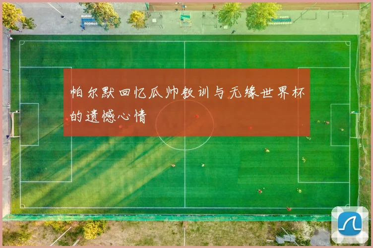 帕尔默回忆瓜帅教训与无缘世界杯的遗憾心情