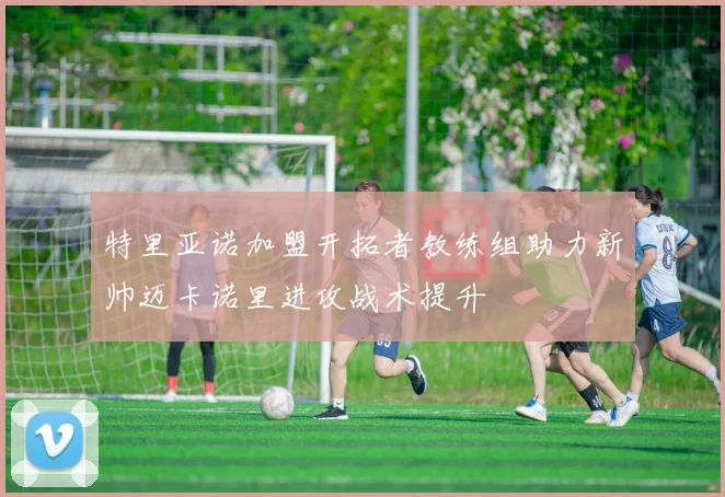 特里亚诺加盟开拓者教练组助力新帅迈卡诺里进攻战术提升