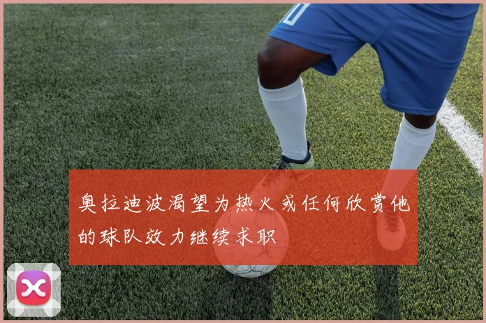 奥拉迪波渴望为热火或任何欣赏他的球队效力继续求职