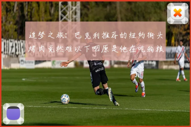 追梦之旅：巴克利推荐的纽约街头烤肉竟然难以下咽原是他在吃狗粮