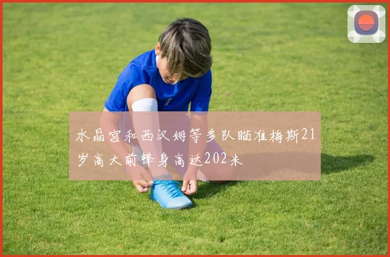 水晶宫和西汉姆等多队瞄准梅斯21岁高大前锋身高达202米