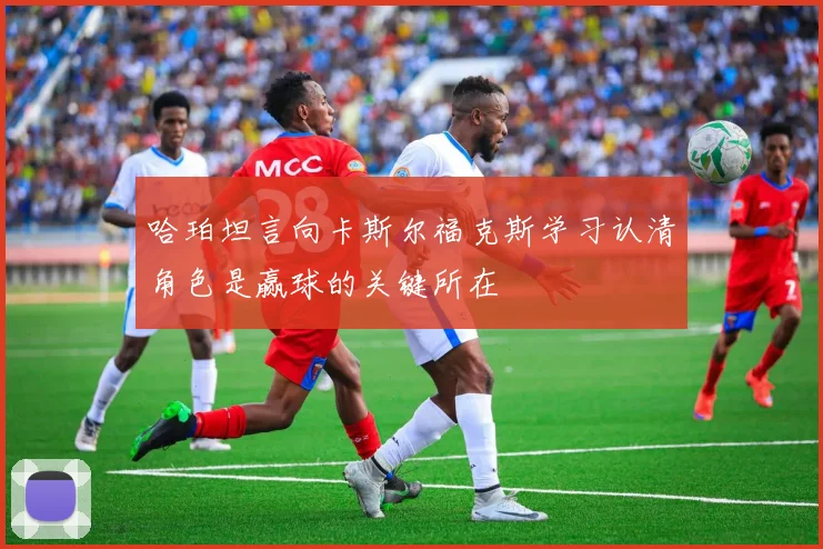 哈珀坦言向卡斯尔福克斯学习认清角色是赢球的关键所在